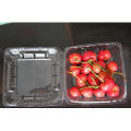 Umweltfreundliche Gesundheit durchsichtigen Kunststoff PP Box für Obst (Lebensmittelverpackungen)